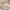 Stainless Steel Wooden Handle Cutlery
Modern Wooden Handle Flatware Set
Rustic Stainless Steel Tableware
Wood Grip Knife and Fork Set
Elegant Household Dining Utensils