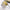Lemon Slicer Kitchen Gadget
Citrus Fruit Cutting Tool
Manual Lemon Cutter
Easy Slice Lemon Artifact
Kitchen Fruit Slicing Tool
