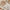 Stainless Steel Wooden Handle Cutlery
Modern Wooden Handle Flatware Set
Rustic Stainless Steel Tableware
Wood Grip Knife and Fork Set
Elegant Household Dining Utensils